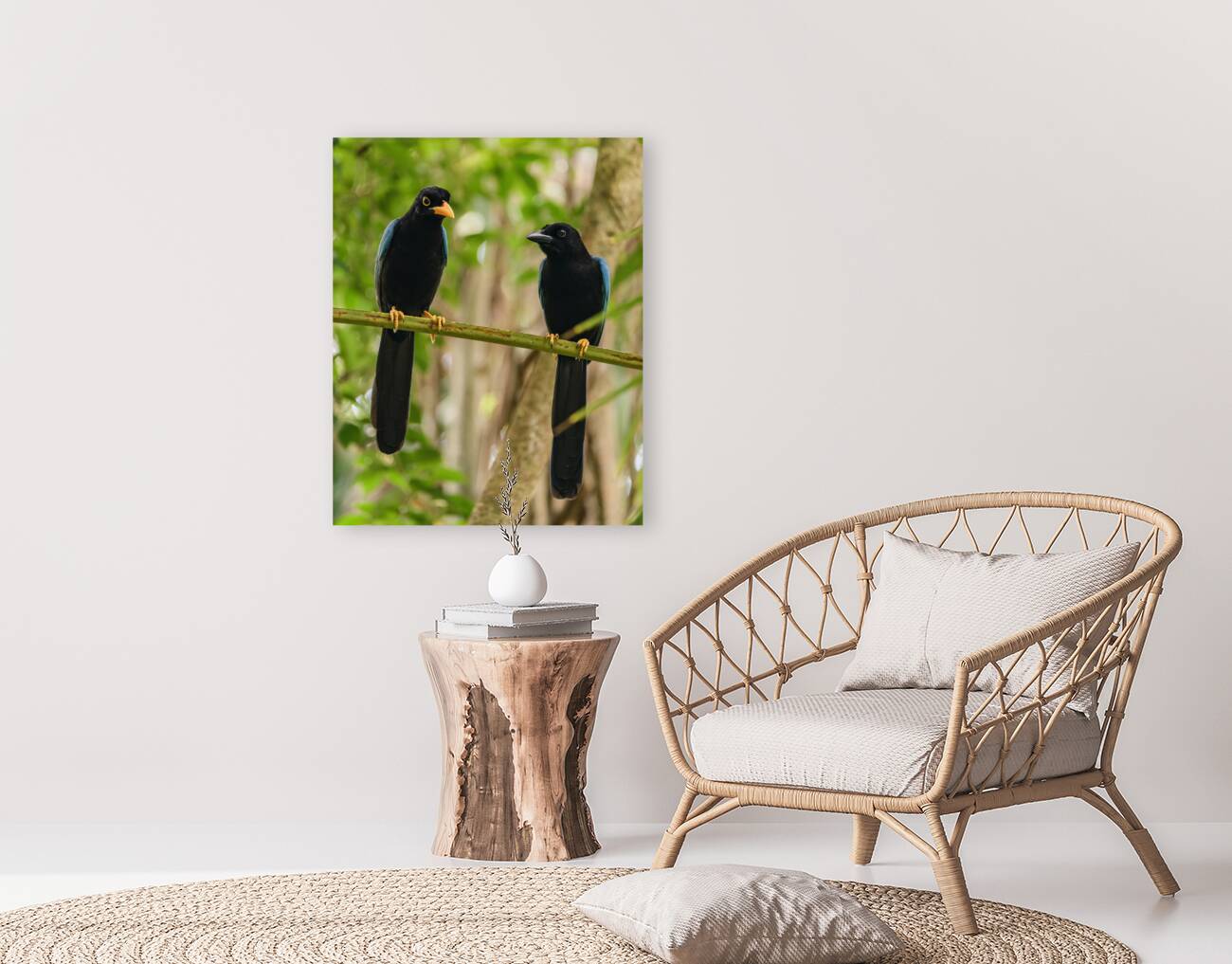 Two Yucatan Blue Jays Reproduction