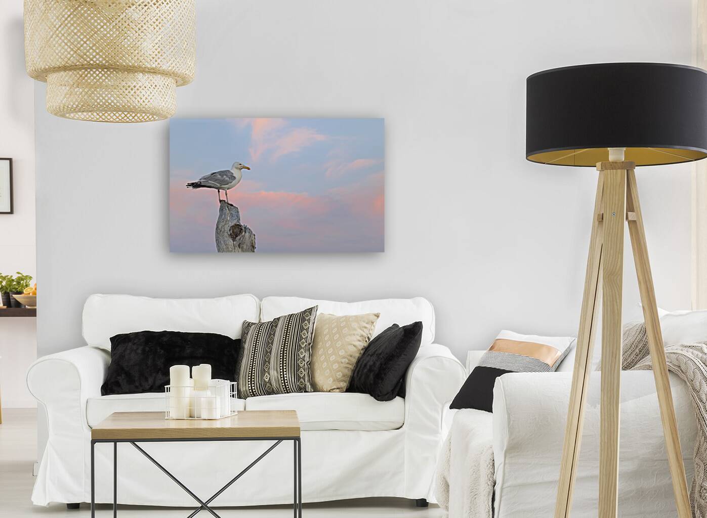 Seagull beautiful sky Reproduction