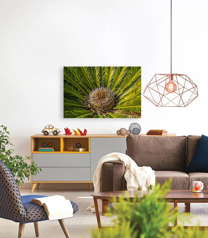 tropical plant center Reproduction