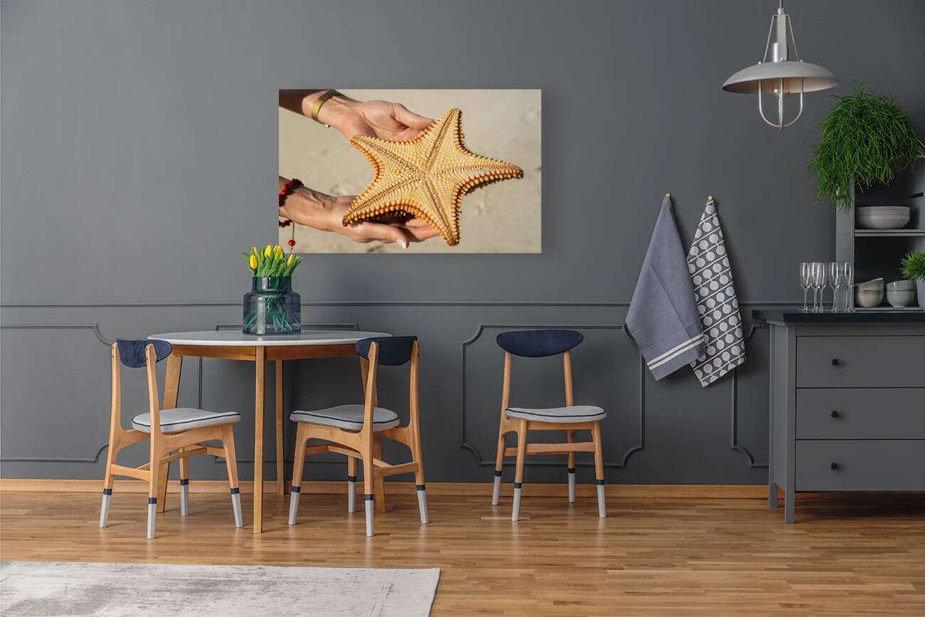 Starfish in womans hands Reproduction