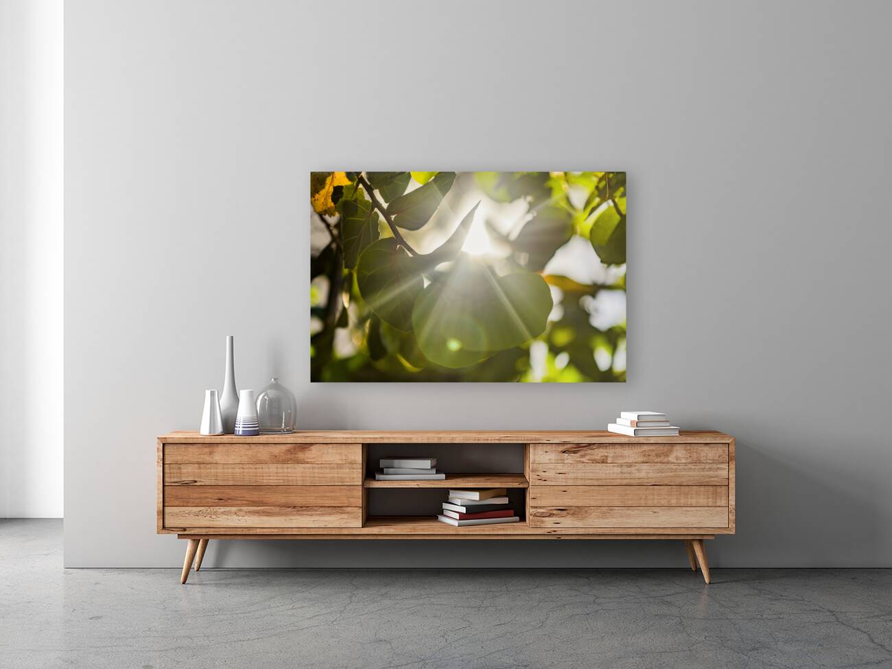 sun rays through leaves Reproduction