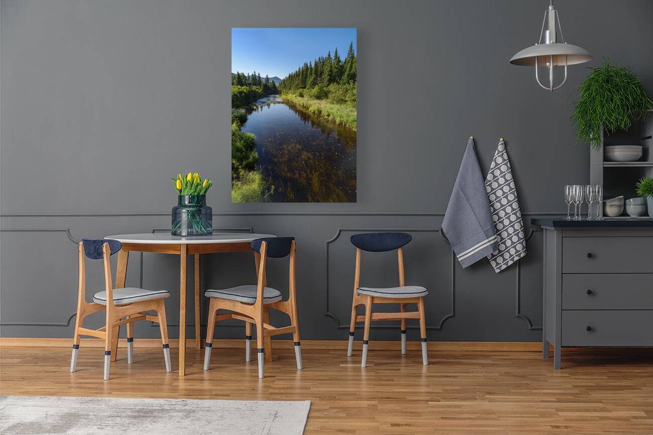 Mount Katahdin campsite Nesowadnehunk river 2 Reproduction