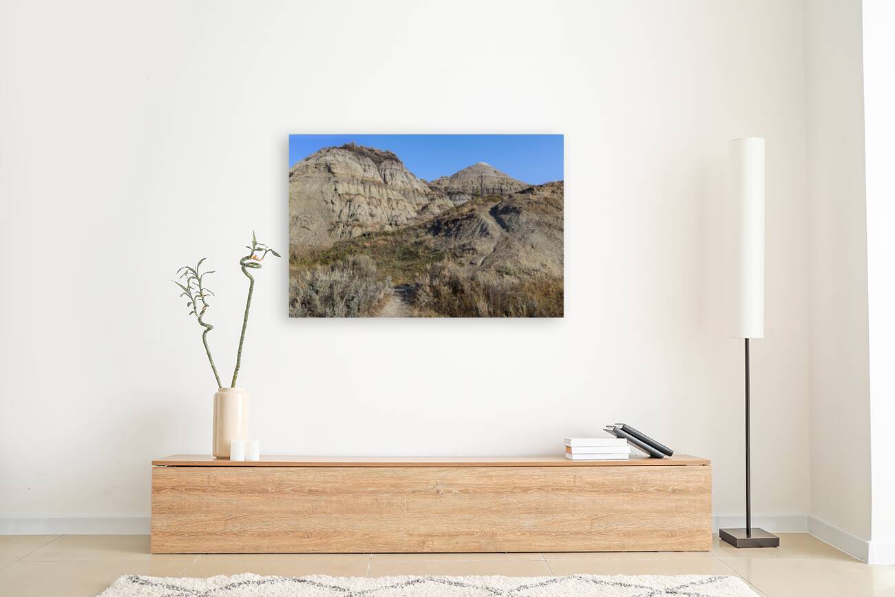 horseshoe canyon 2456 Reproduction