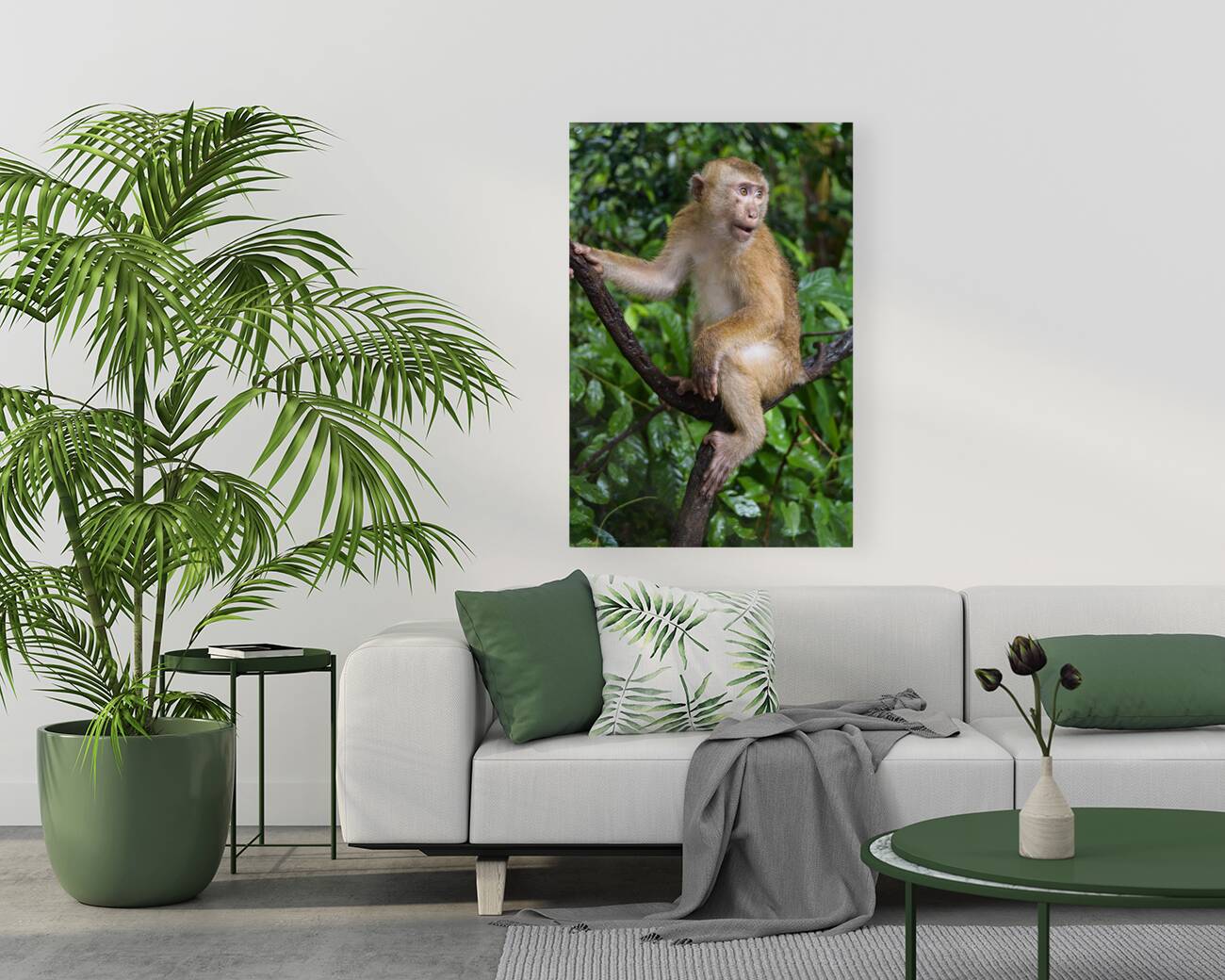 thai monkey 3 Reproduction