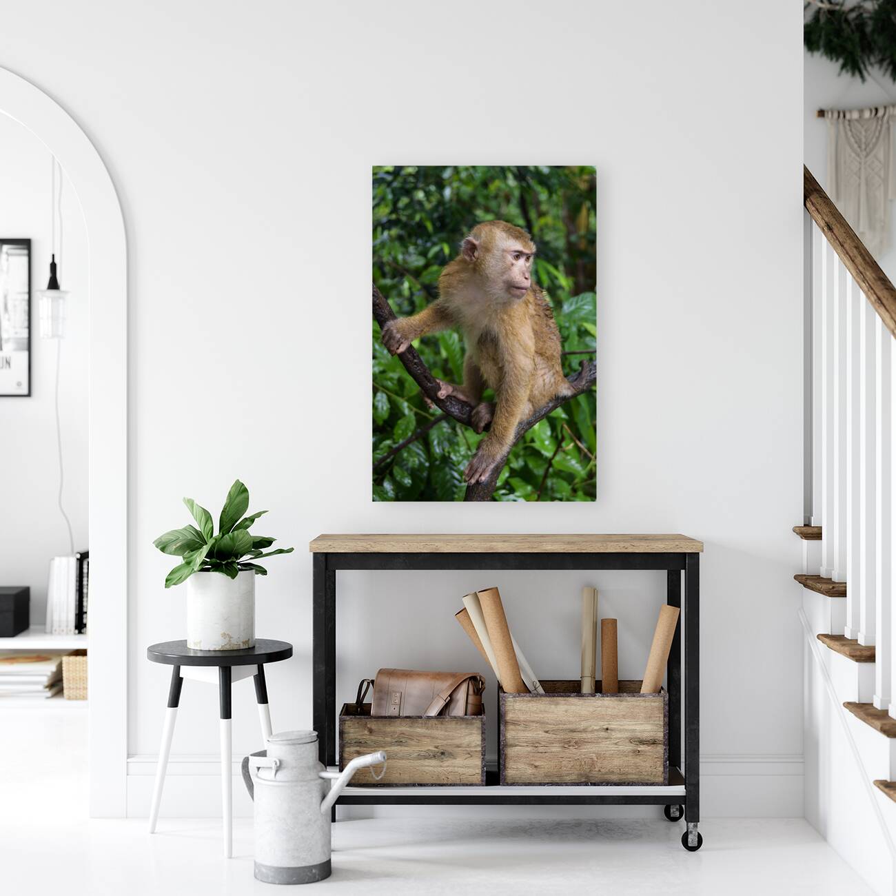 thai monkey 5 Reproduction