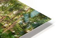 Jungle tree waterfall sunrays HD Metal print