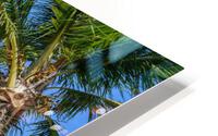 Cuban beach with 2 palmtrees HD Metal print