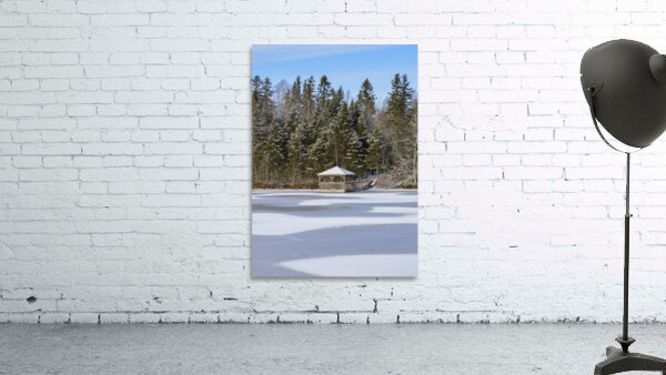 Bird sanctuary pond winter Wall Preview