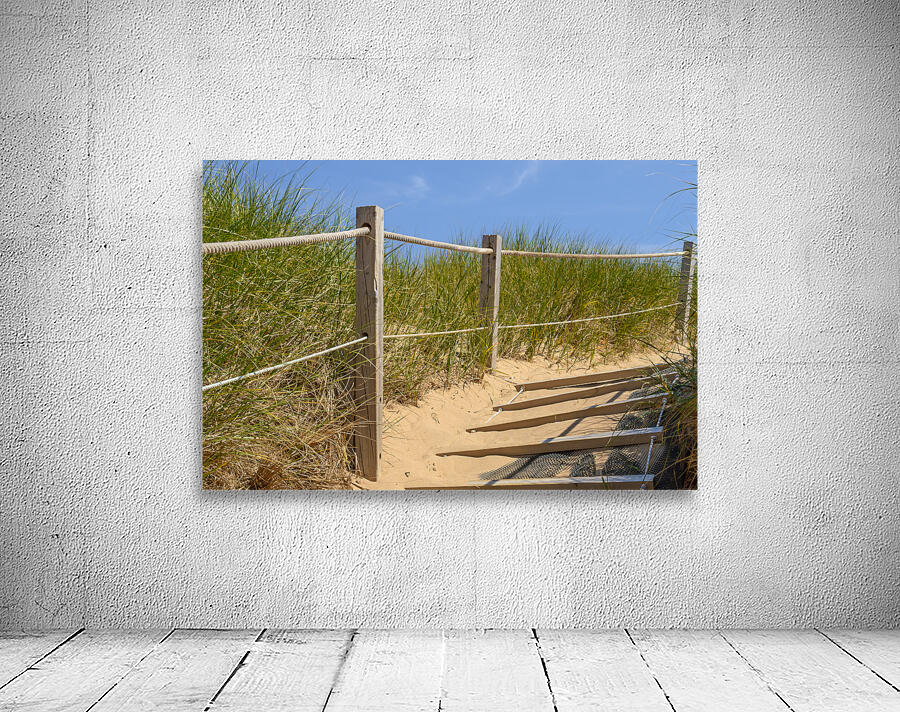 Path Almost at the beach Wall Preview