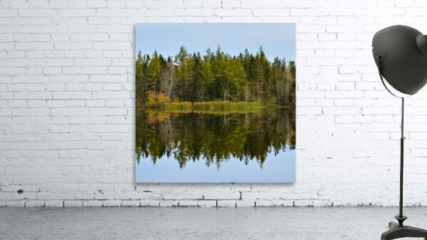 Bird sanctuary pond reflection Wall Preview