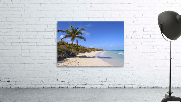 Cayo Coco Cuba beach Wall Preview