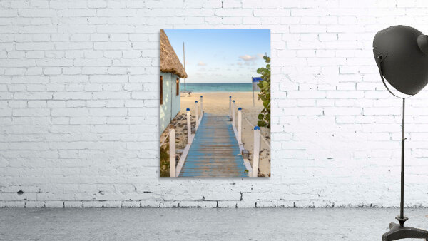 Cuban Beach Arrival path Wall Preview