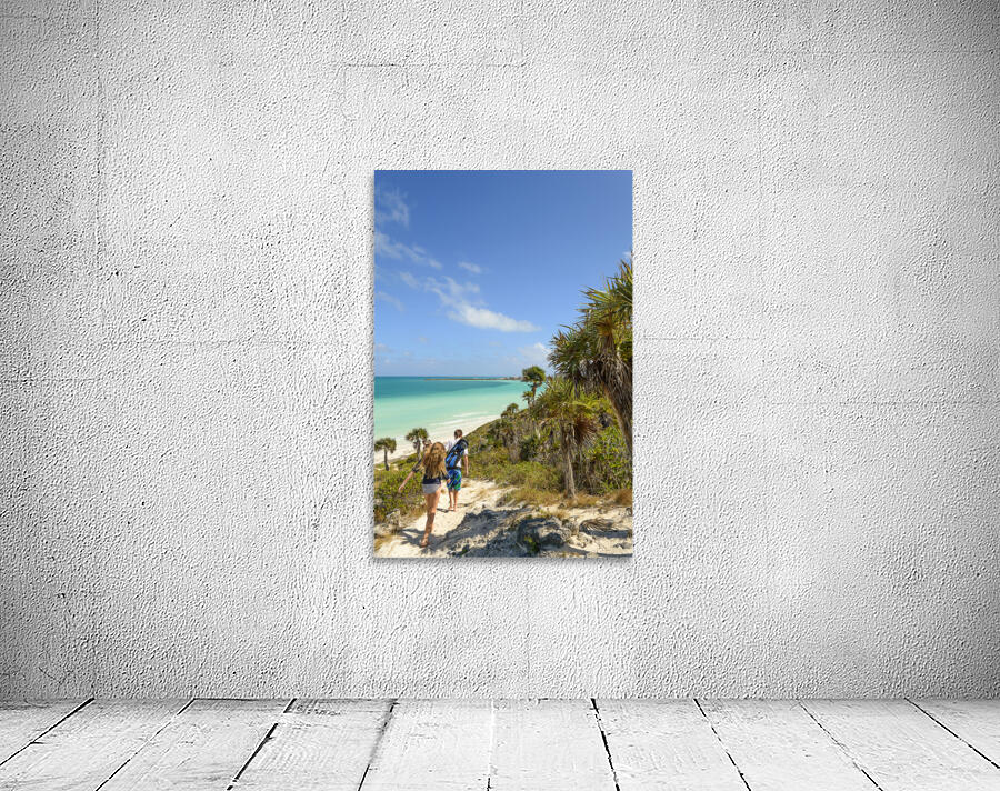 sand dune walk next to aqua ocean Wall Preview