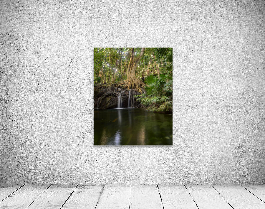 jungle tree waterfall Wall Preview