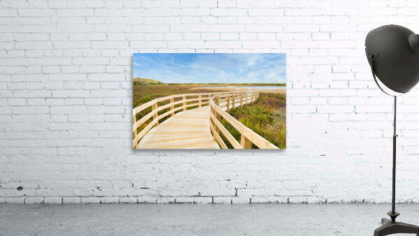 Greenwich boardwalk trail Wall Preview