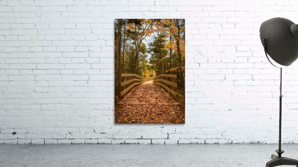 fall colours boardwalk trail Wall Preview