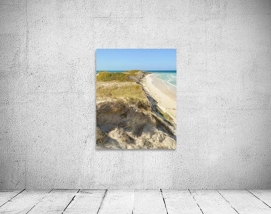 Cayo Coco Cuban Dune Wall Preview