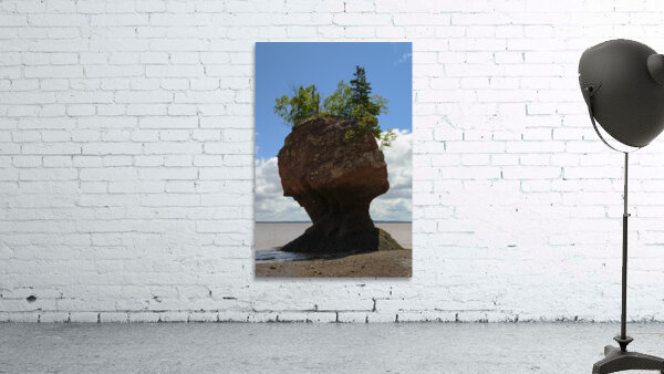 Hopewell Rock head silhouette Wall Preview
