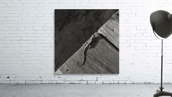 Gecko Anole on boardwalk in BW Wall Preview