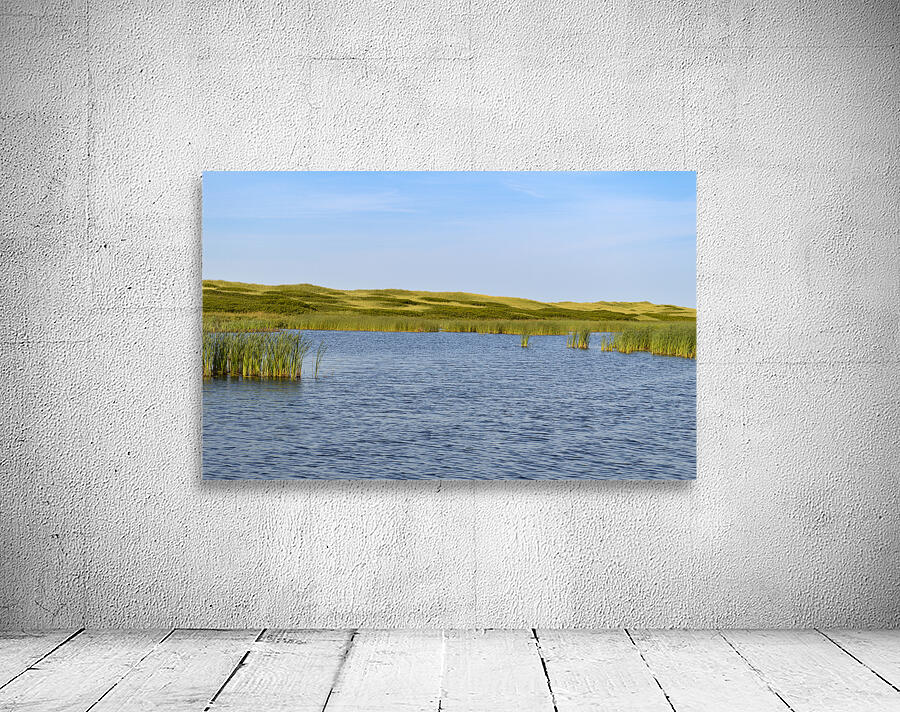 Greenwich grass dune on sky background Wall Preview