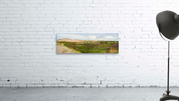 Greenwich dunes and wetlands Wall Preview