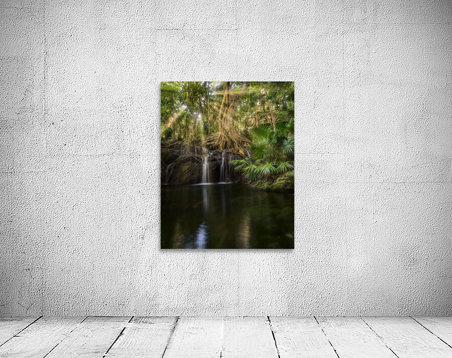 Jungle tree waterfall sunrays Wall Preview