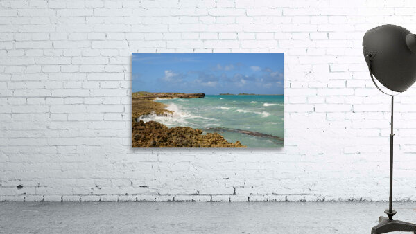 Cuban coral shore ocean view Wall Preview