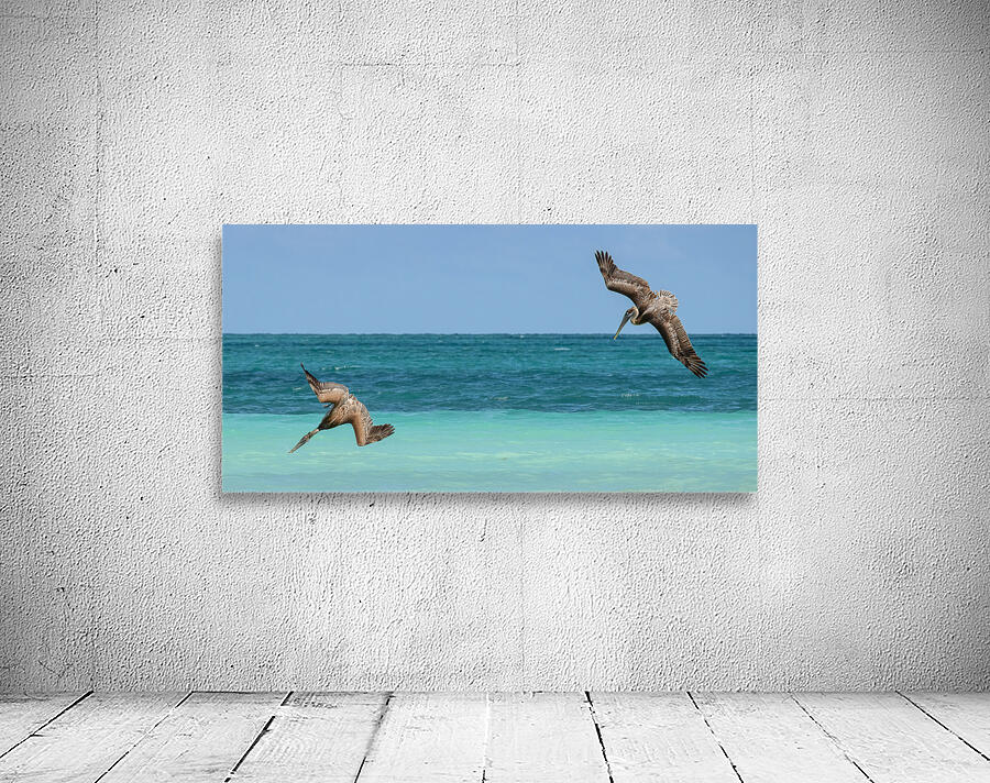 Pelican Cuban 4 Cuba Wall Preview