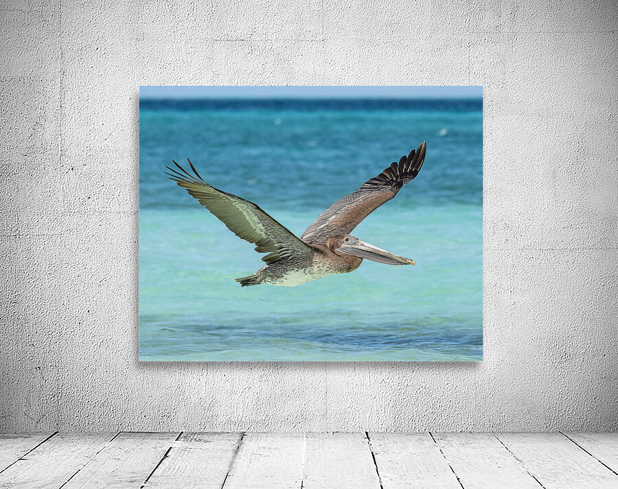 Pelican Cuban - 10 Wall Preview