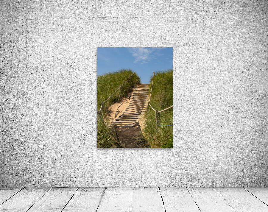 Pathway over the dunes to the beach. Wall Preview