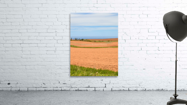 PEI red sand farm fields Wall Preview