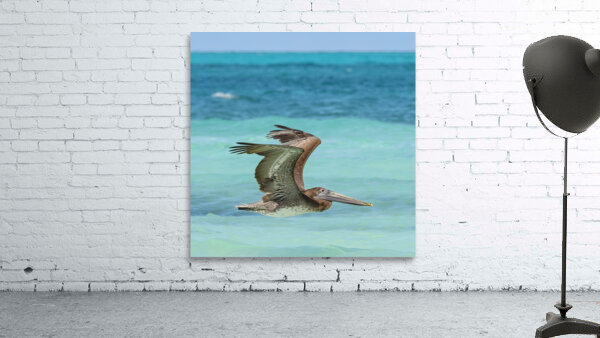 Pelican Cuban 7 Wall Preview