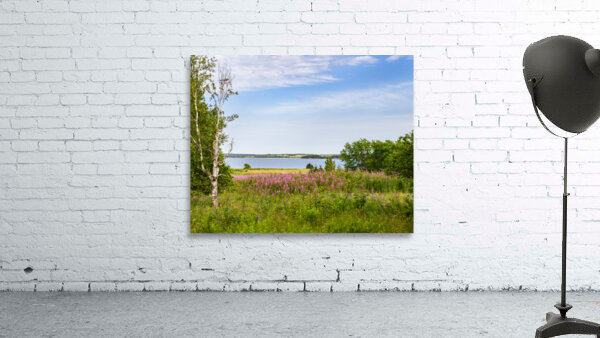 Prince Edward Island field view with ocean Wall Preview