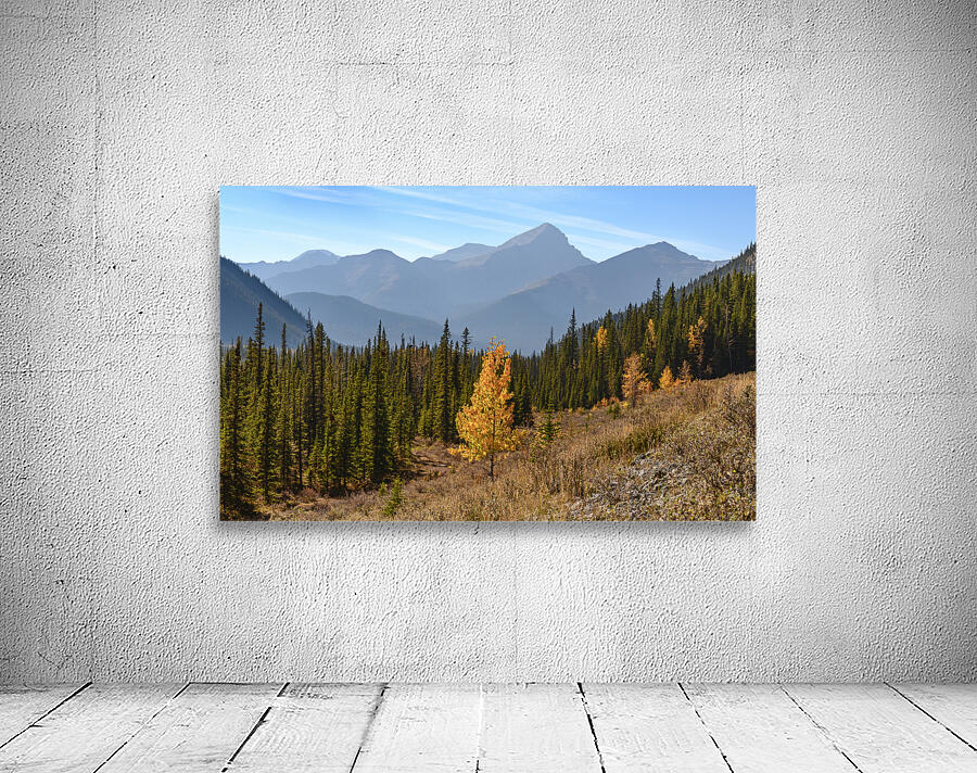 Bluerock Wildland golden tree Wall Preview