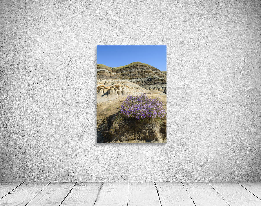 Hoodoos rocks with purple flowers Wall Preview