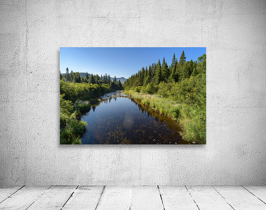 Mount Katahdin campsite Nesowadnehunk river Wall Preview