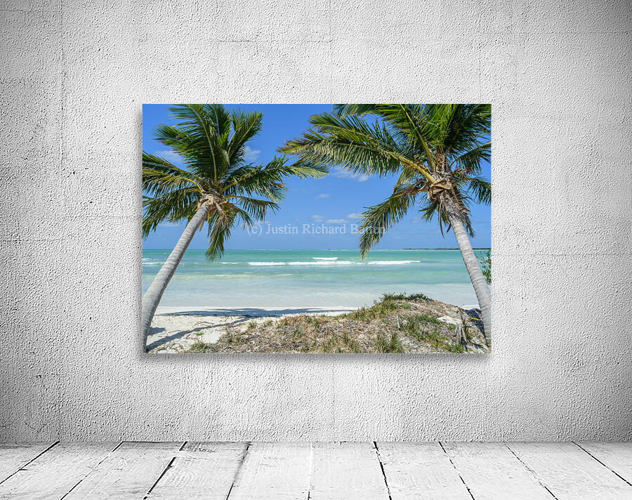Cuban beach with 2 palmtrees Wall Preview