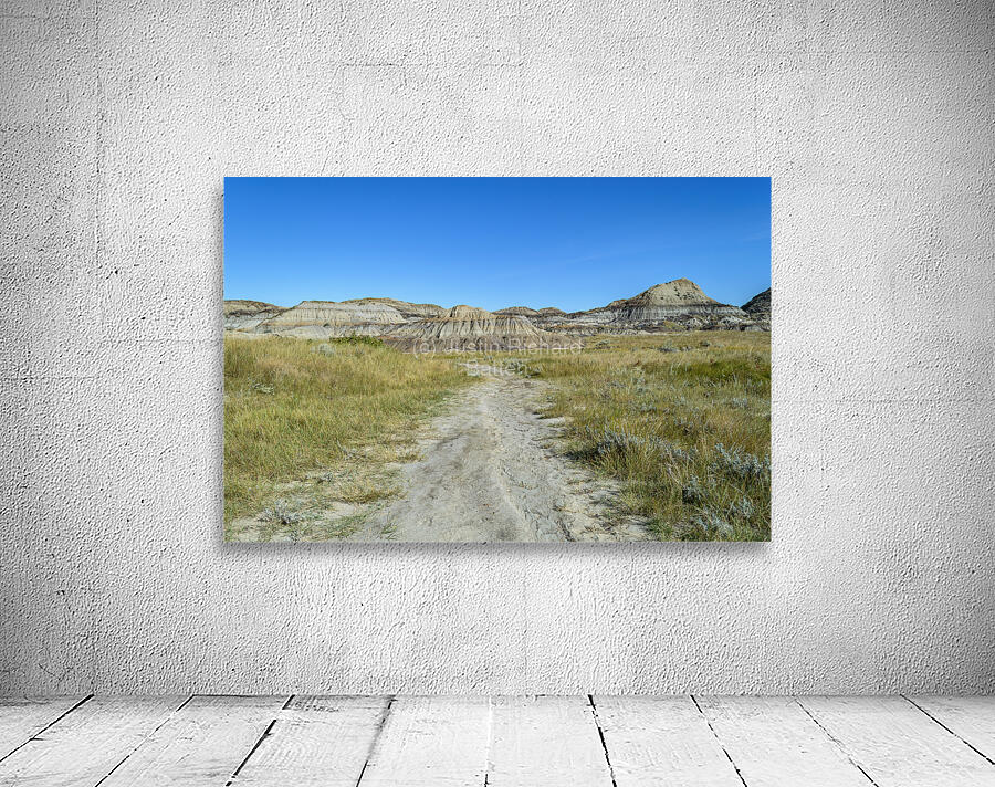 horseshoe canyon path 1540 Wall Preview