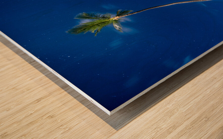 palmtrees beach night Wood print