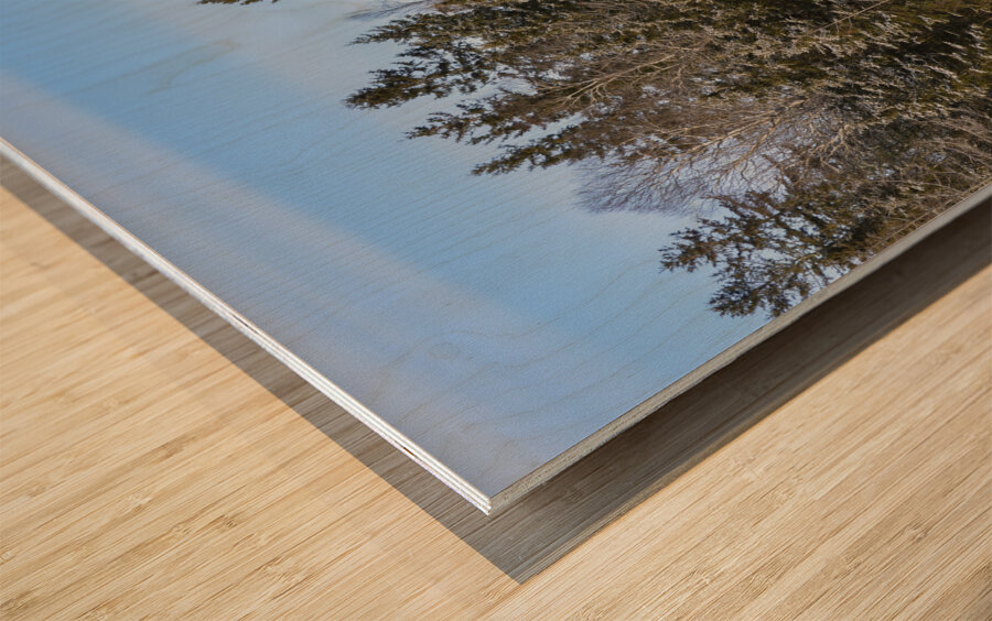 Bird sanctuary pond winter Wood print