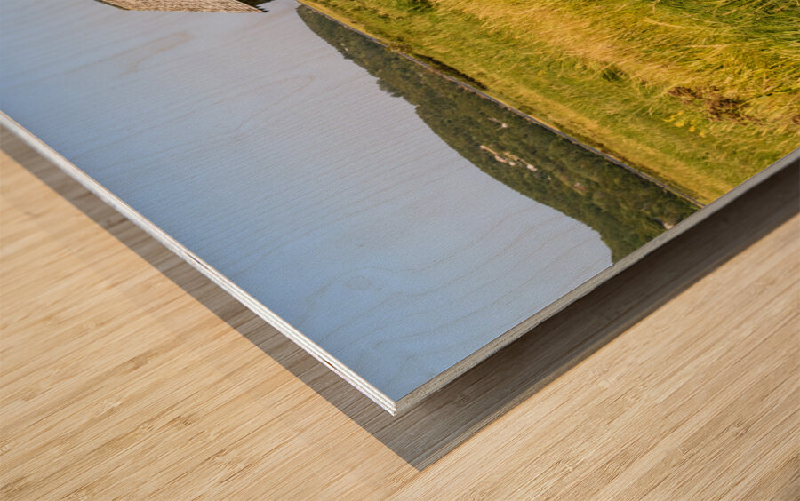 Cape Breton valley 2 Wood print