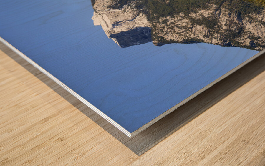 banff-bow river 2 Wood print