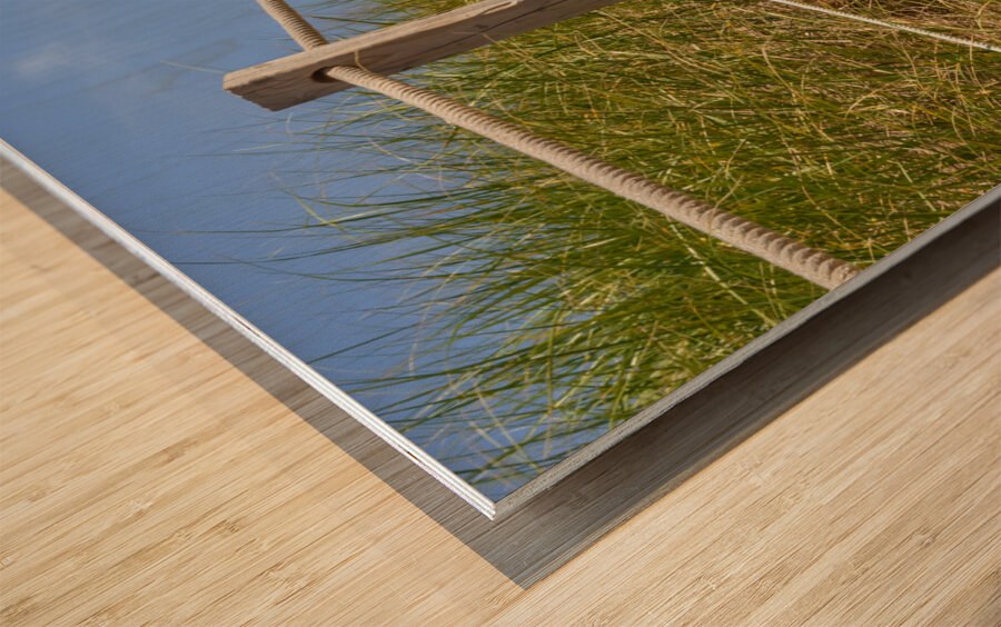 Path Almost at the beach Wood print