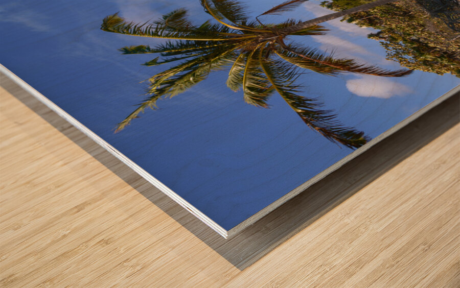Cayo Coco Cuba beach Wood print