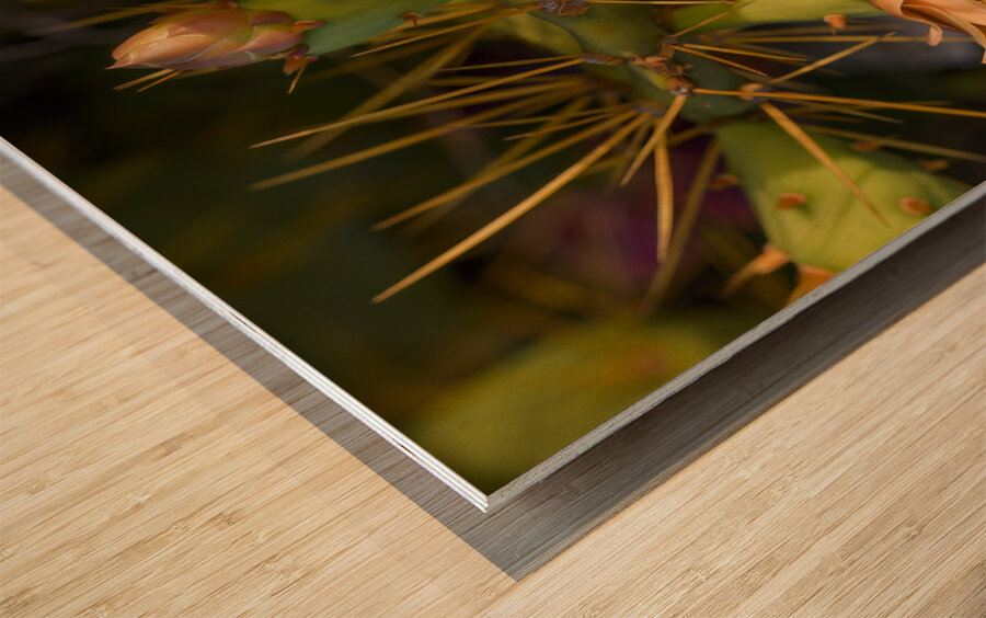 Cuban cactus flower bloom Wood print