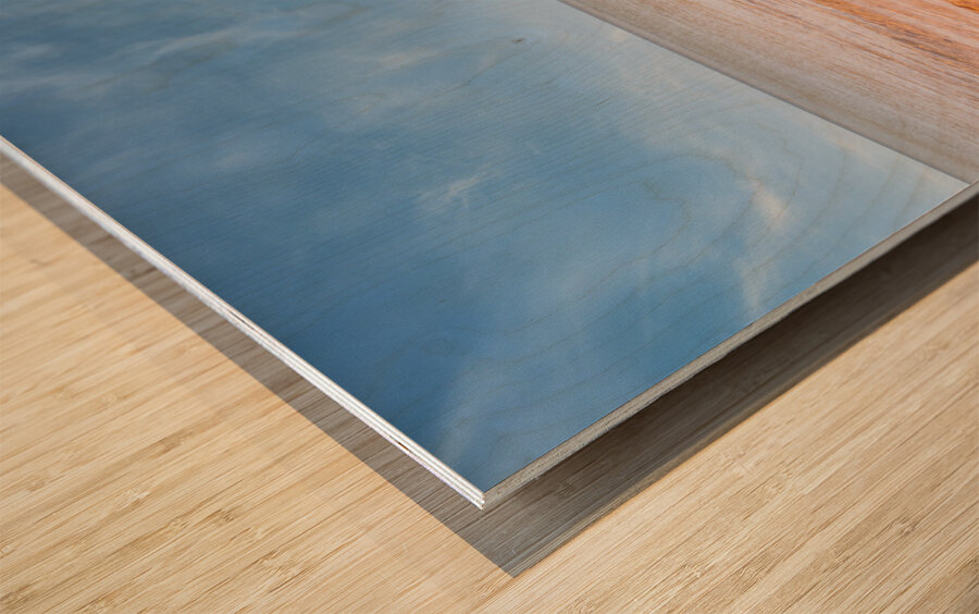 Basin headbeach dock ocean view Wood print