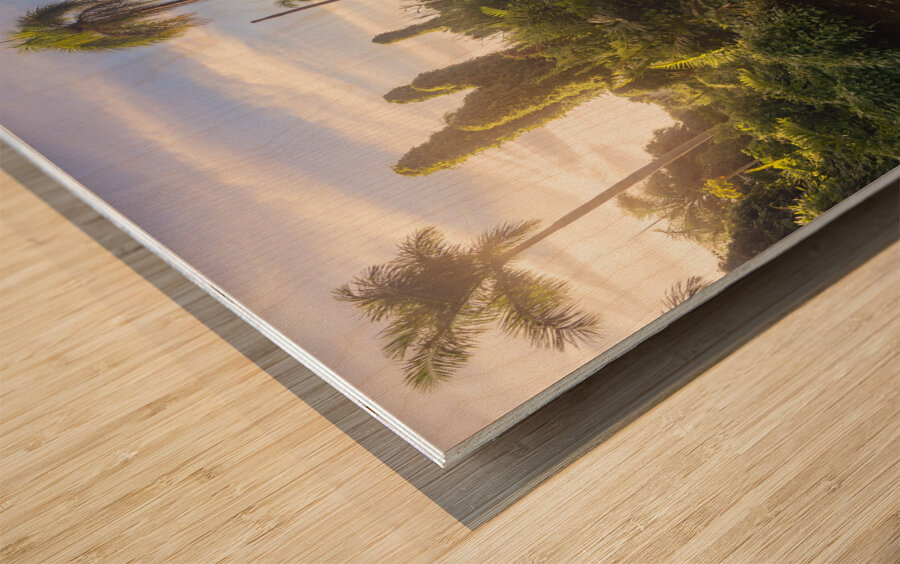 Jungle Garden Dominican Wood print