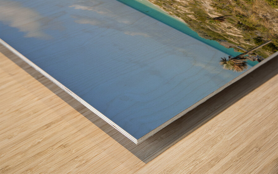 Cuban Dune View Ocean Impression sur bois