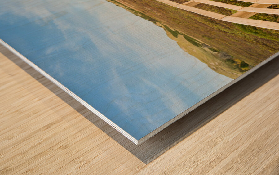 Greenwich boardwalk trail Wood print