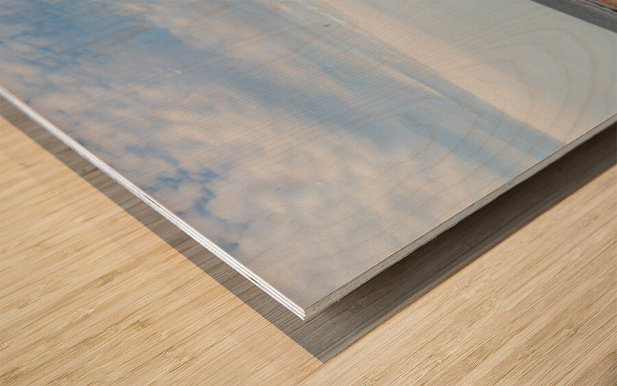 Greenwich Driftwood art 2 Wood print